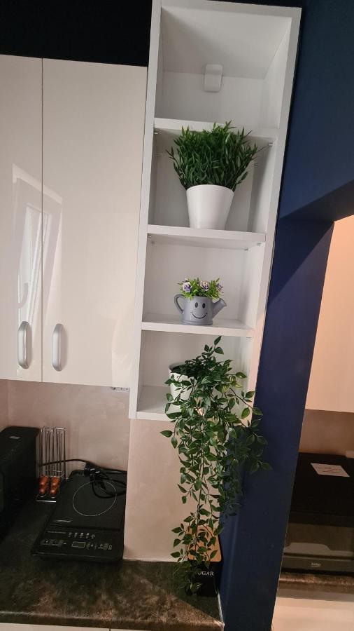 Calea Victoriei Studio By Magic Apartments Bucarest Esterno foto